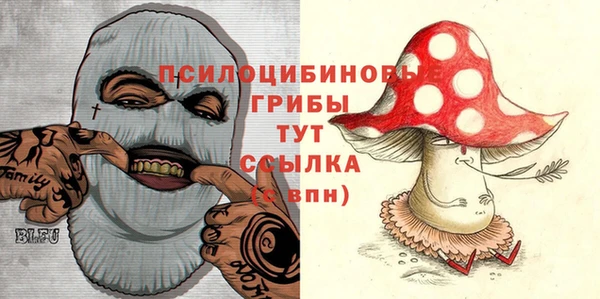 гашик Наволоки